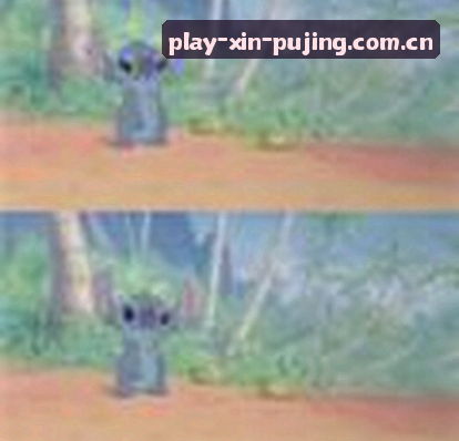 陈磊